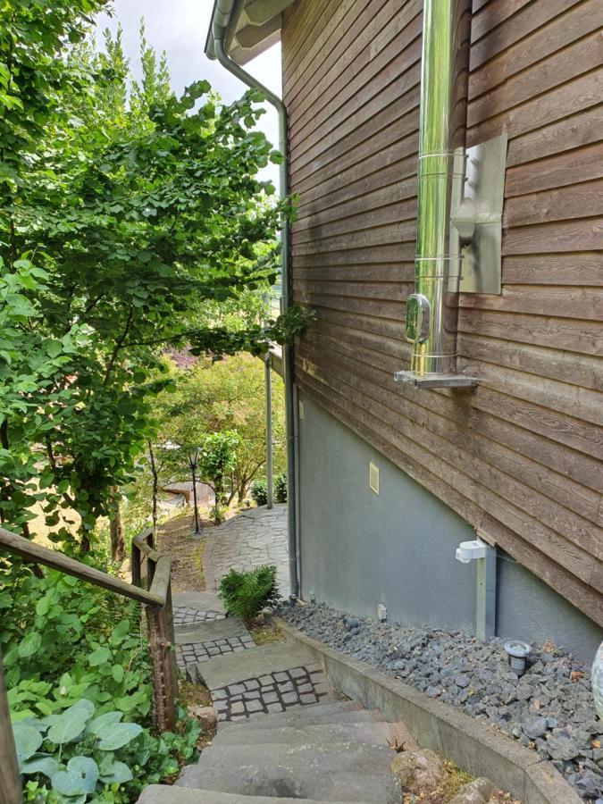 River Mosel Holiday Homes, Meerfeld Studio With A Lake View Εξωτερικό φωτογραφία