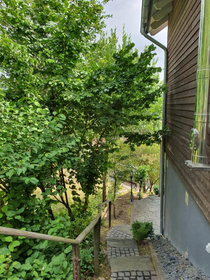 River Mosel Holiday Homes, Meerfeld Studio With A Lake View Εξωτερικό φωτογραφία