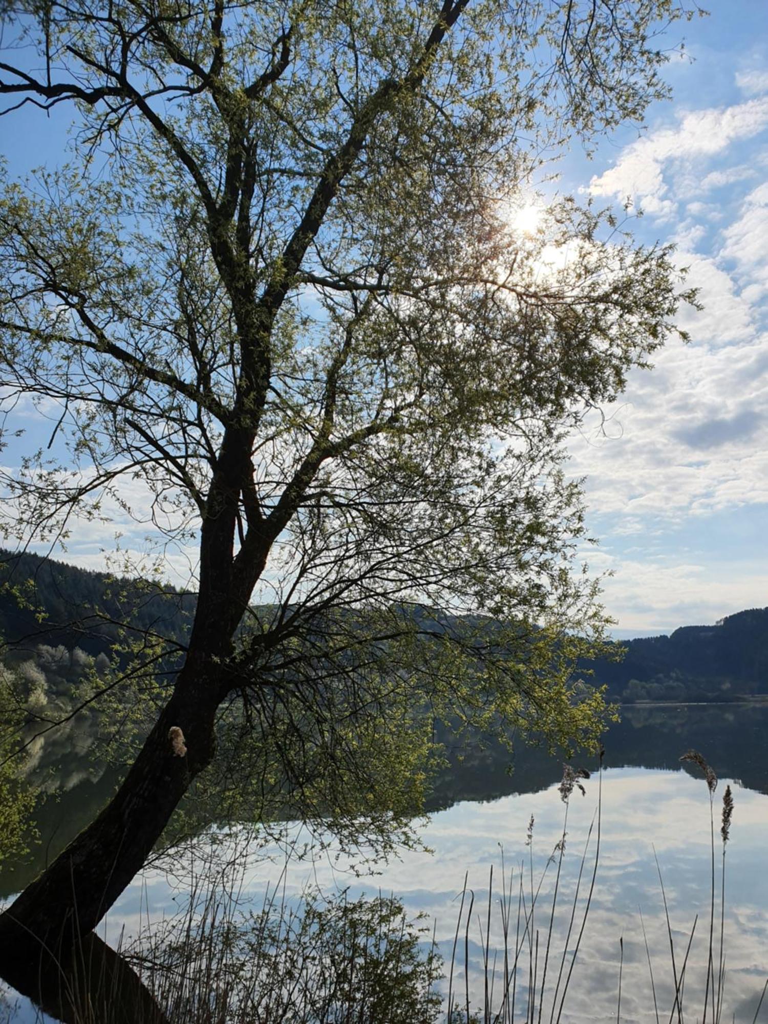 River Mosel Holiday Homes, Meerfeld Studio With A Lake View Εξωτερικό φωτογραφία